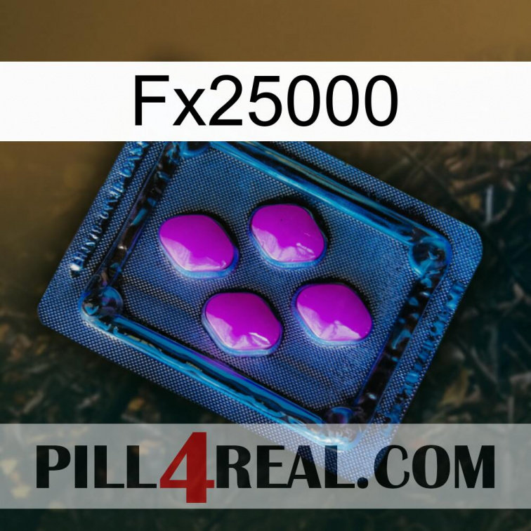 Fx25000 04